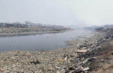 Water Pollution: Bad for Humans and Animals Alike