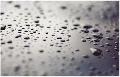 What is a Water Softener?