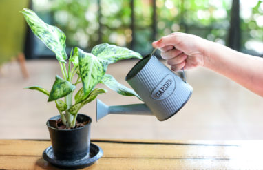 How to Use a Water Softener