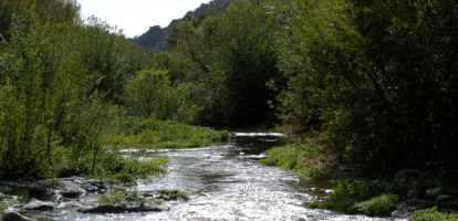 Ventura Drinking Water Quality: Is It Safe?