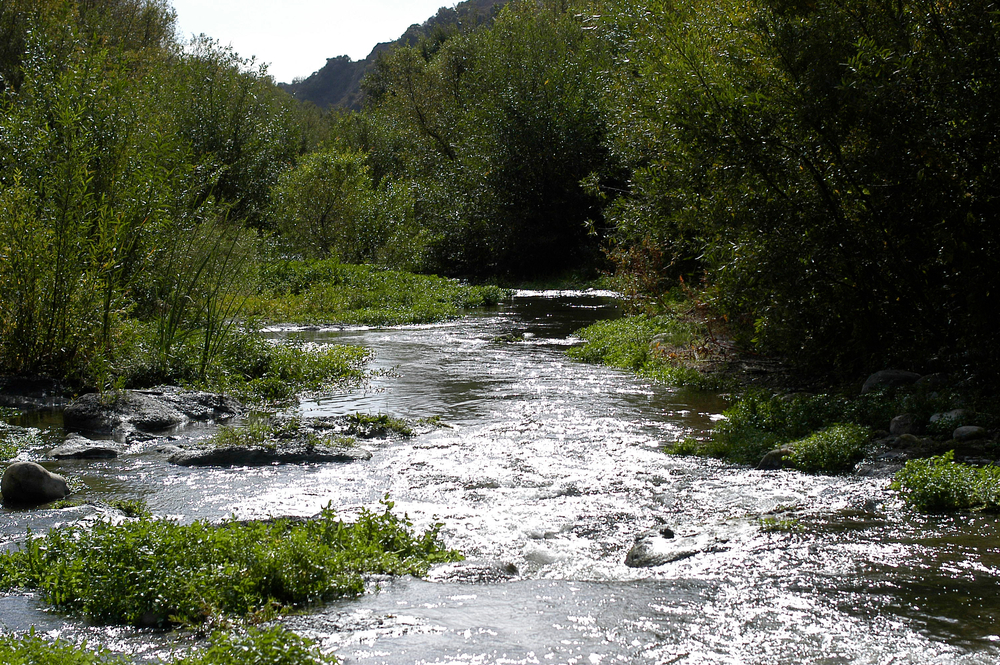 Ventura County Water Quality Is It Safe? Rayne Water