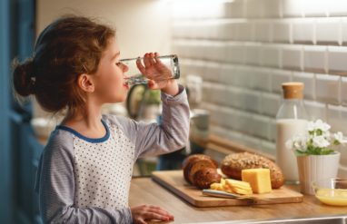 Water Filter Solutions: Tannins in Water
