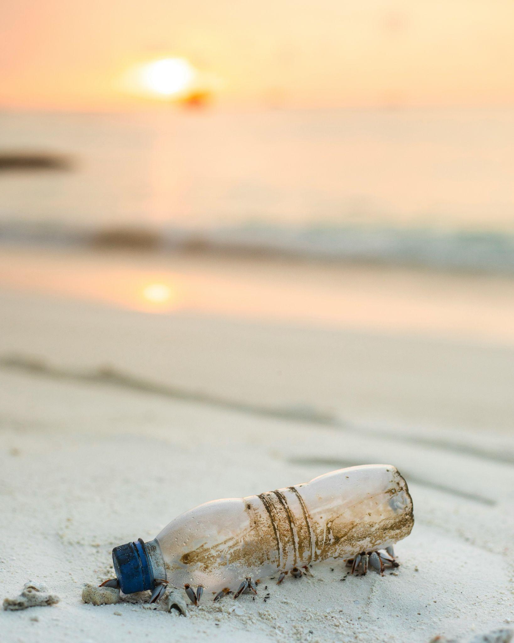 A discarded plastic water bottle on a beach at sunset, illustrating environmental impact and the push for alternatives like glass bottles.