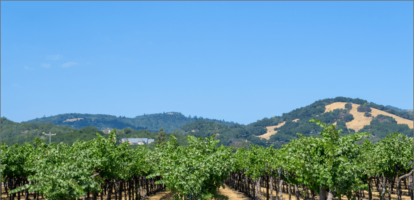 Experience the Purest Water in Wine Country with Rayne Water