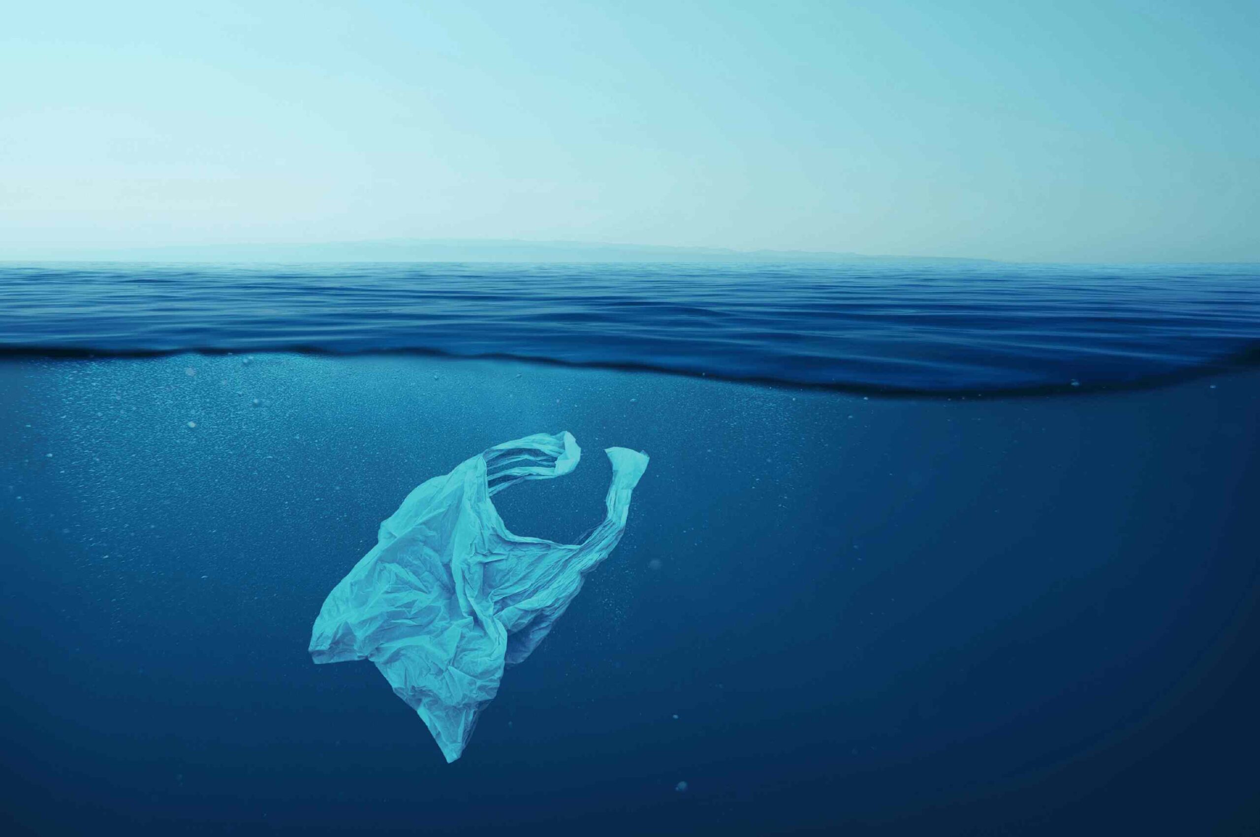 Not Just a Drop in the Ocean: The Ubiquity of Microplastics