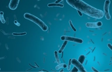 Everything You Need to Know About E.Coli In Water