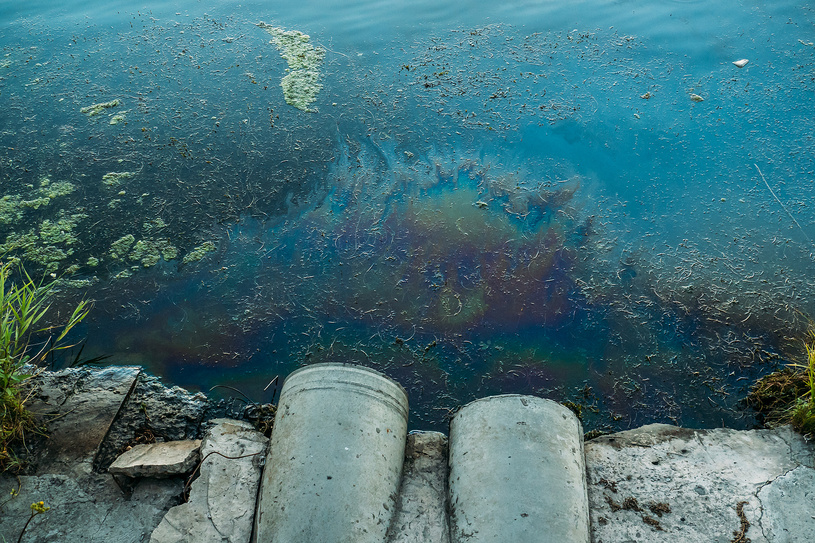 Polluted water with oil sheen and algae near a sewer outlet, illustrating environmental factors affecting San Diego’s water supply