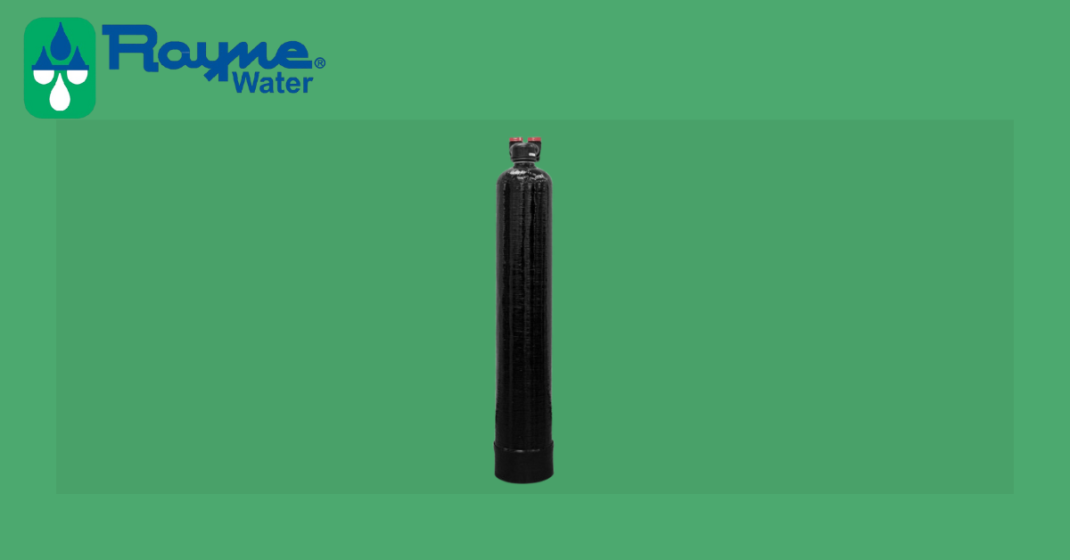 rayne-spartan-1000-whole-house-water-filtration-system