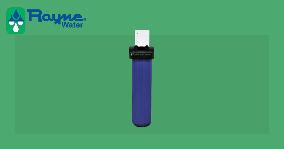 Rayne Water Big Blue 10-inch point-of-use filter for chlorine, sediment, and odor removal at showers, sinks, or appliances