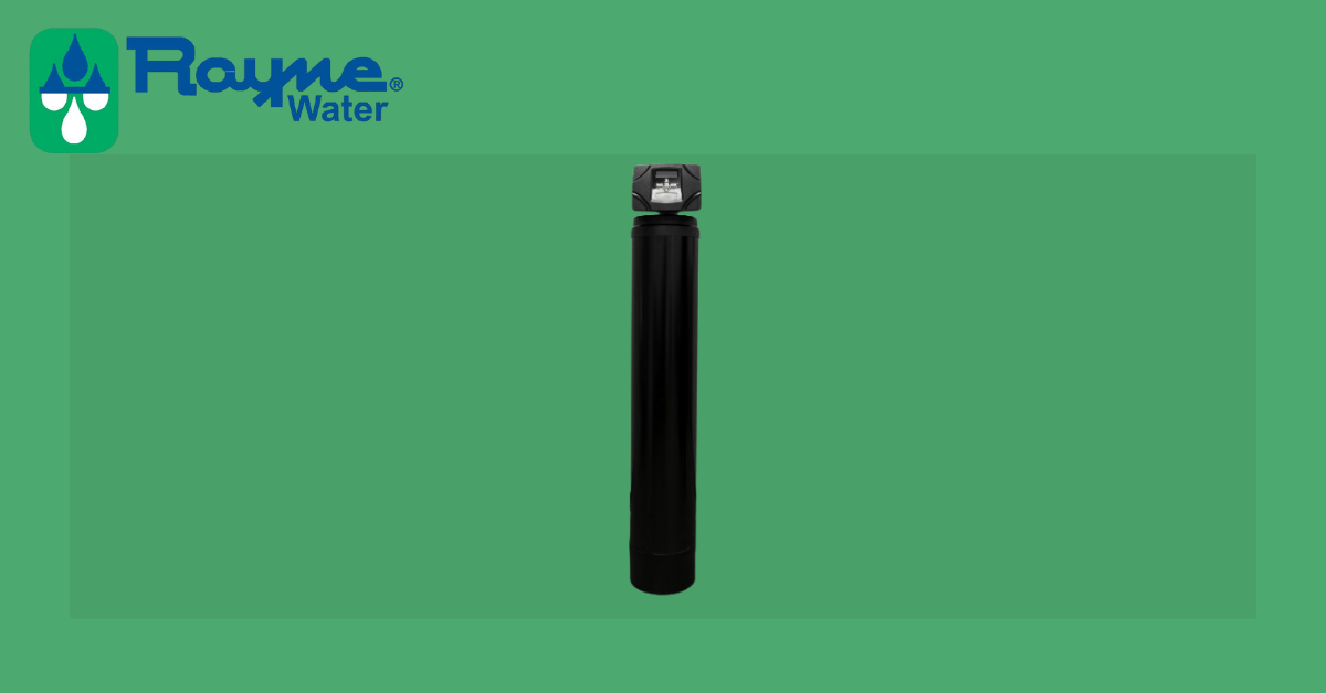 Rayne Water Executive 12 dual-tank whole-house filtration system for large homes and continuous water treatment
